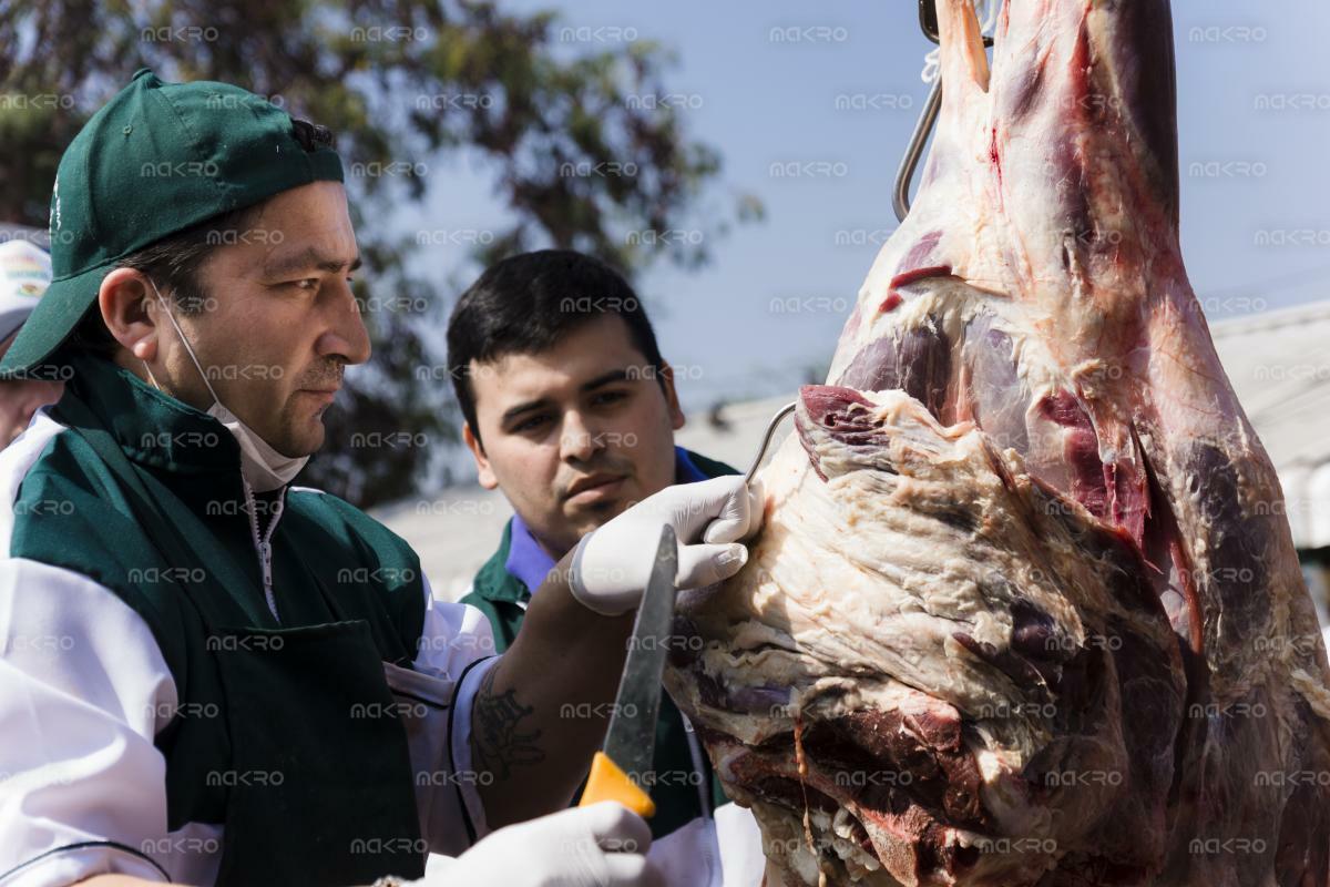 Mutual de Cocineros Guachacas  