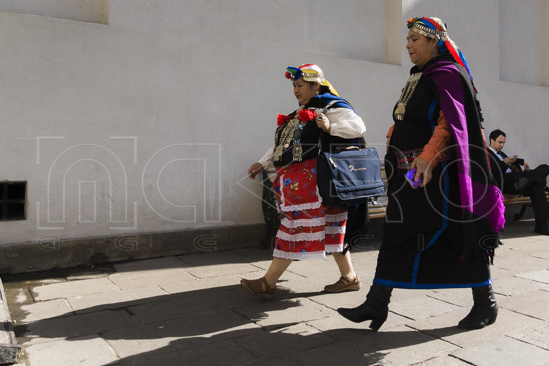 Proyecto de Ley Min Pueblos Indígenas