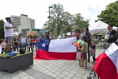 Apoyo al pueblo Mapuche