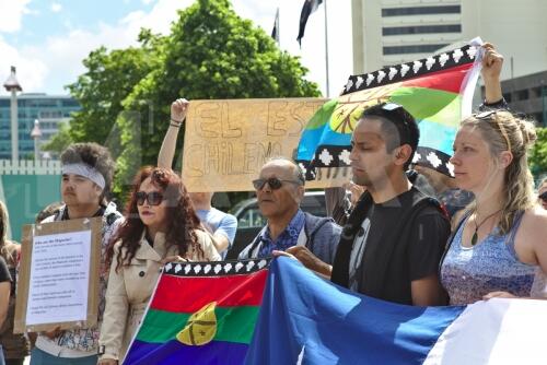 Apoyo al pueblo Mapuche