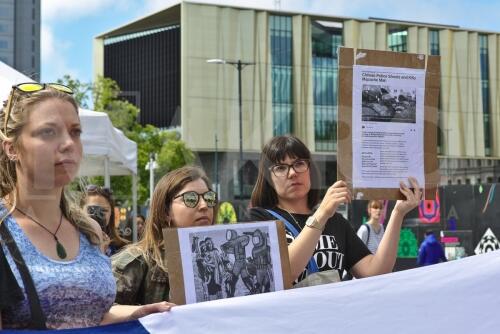 Apoyo al pueblo Mapuche