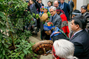Comuneros mapuches sostienen reunión en La Moneda-12