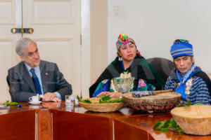 Comuneros mapuches sostienen reunión en La Moneda-7