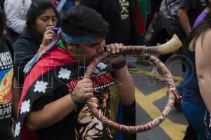 Día de la resistencia mapuche 