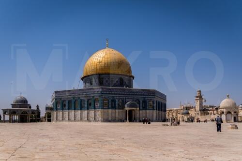 Gira Israel, Palestina, Japón 2019