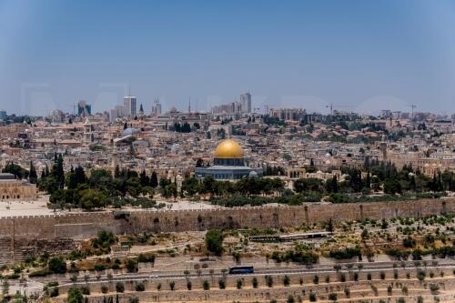 Gira Israel, Palestina, Japón 2019