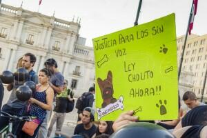 Protesta por Cholito