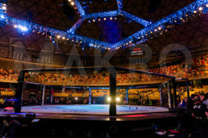 UFC Fight Night Chile-1